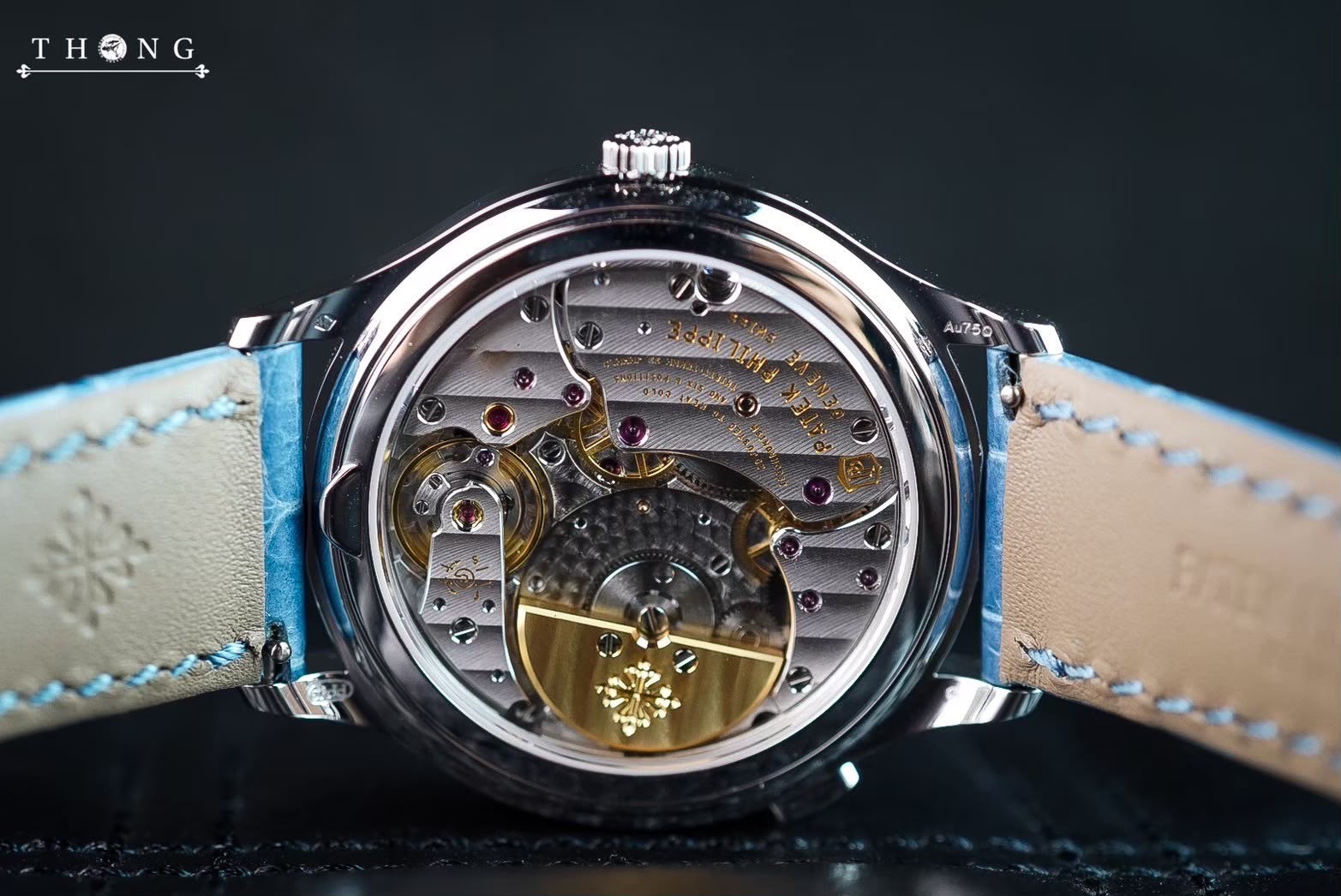 Patek Philippe Complications World Time 36 7130G-016 Blue-Gray - Image 5